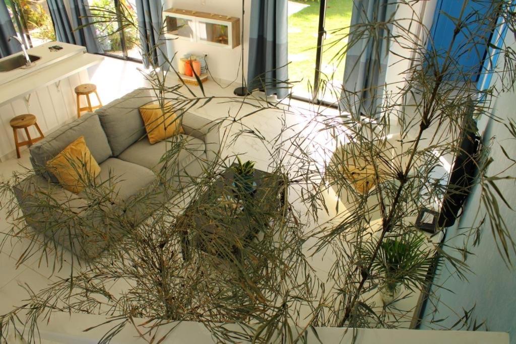 Villa Luce ลาสแตร์เรนาส ภายนอก รูปภาพ